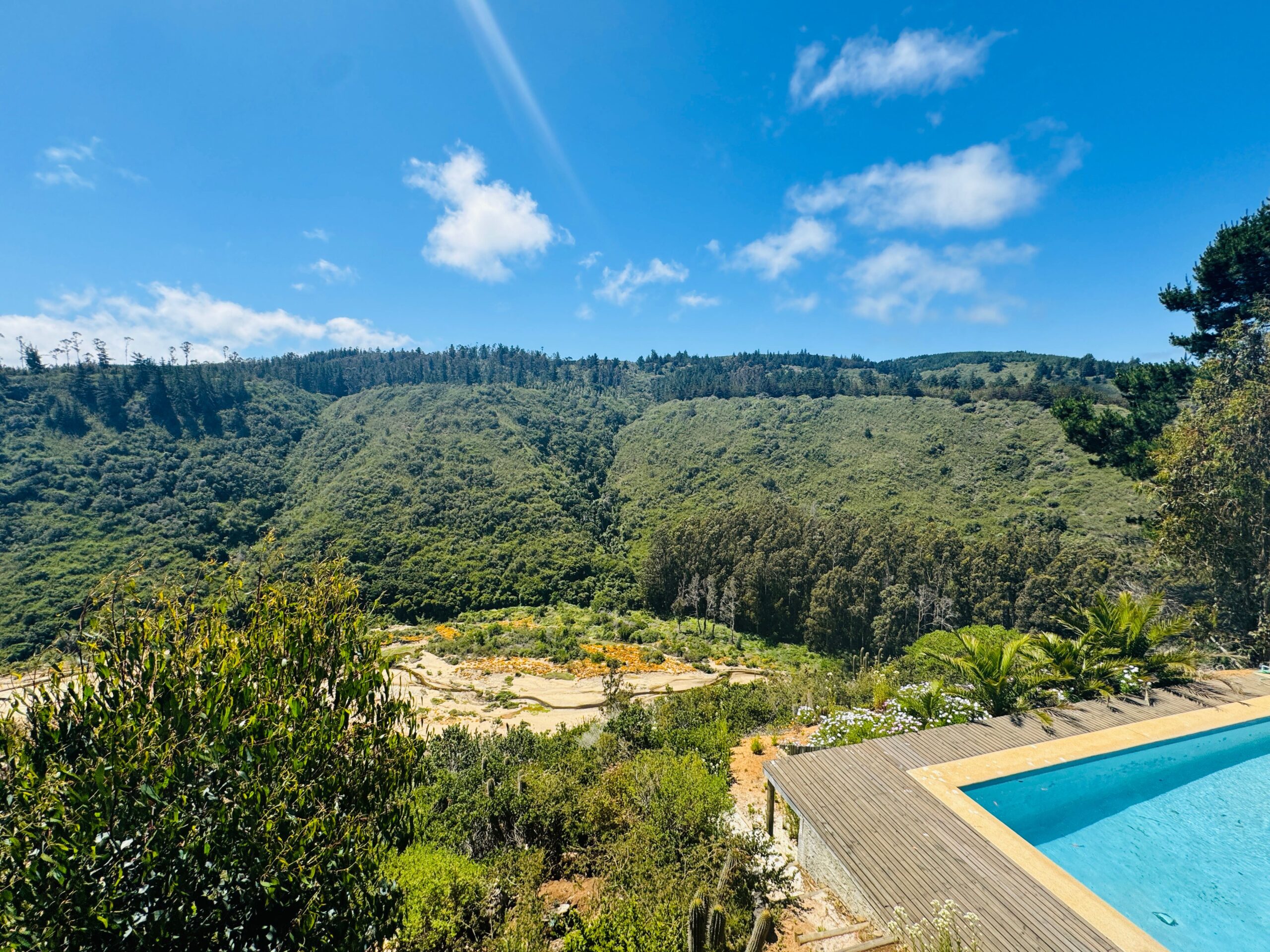 Bosque Mar de Tunquen UF 25.000 - Imagen 6