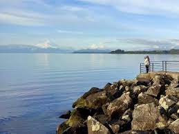 Casa Puerto Varas UF 17.300 - Imagen 9