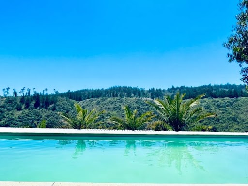 Bosque Mar de Tunquen UF 25.000 - Imagen 11